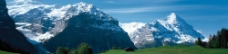 瑞士风光 雪山和绿草地图片