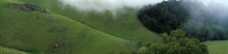 山坡草皮雾气图片