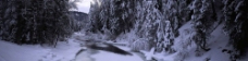 冰封的溪流图片