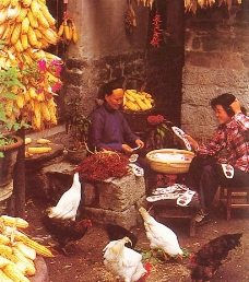 沂蒙山区农民生活图片