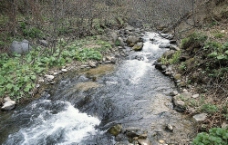 山间的溪流图片