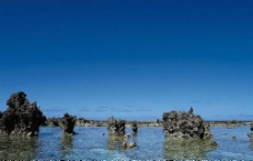 海上珊瑚礁图片