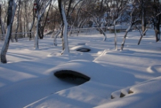 乌鲁木齐的雪景图片