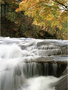 秋天的流水图片