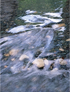 溪流溪水图片