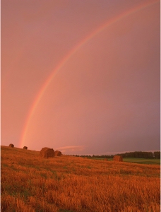 田园上空彩虹图片