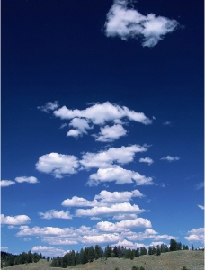 蓝天白云树林图片