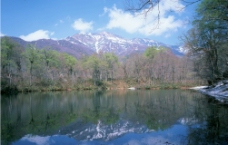 雪山树林湖泊图片