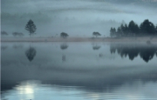 清晨的湖泊图片