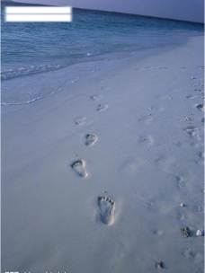 海滩上脚印图片
