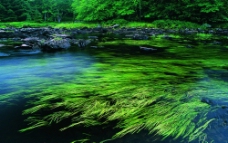 绿色山水图片