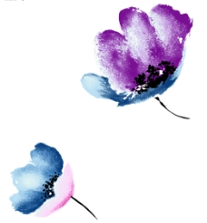 手绘花卉PSD素材图片