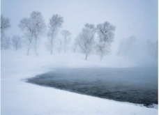 冬天水雾图片