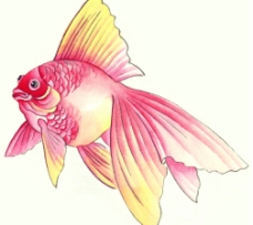 水墨风格的鱼图片